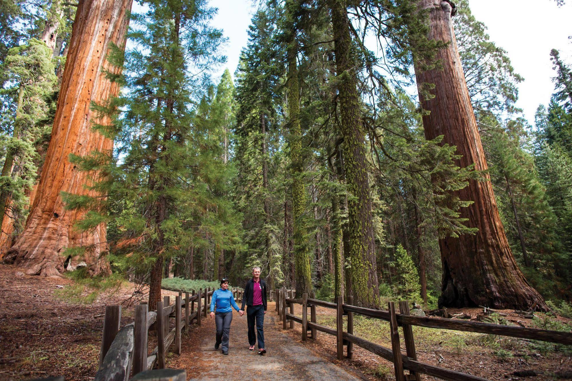 John Muir Lodge Hume Kültér fotó